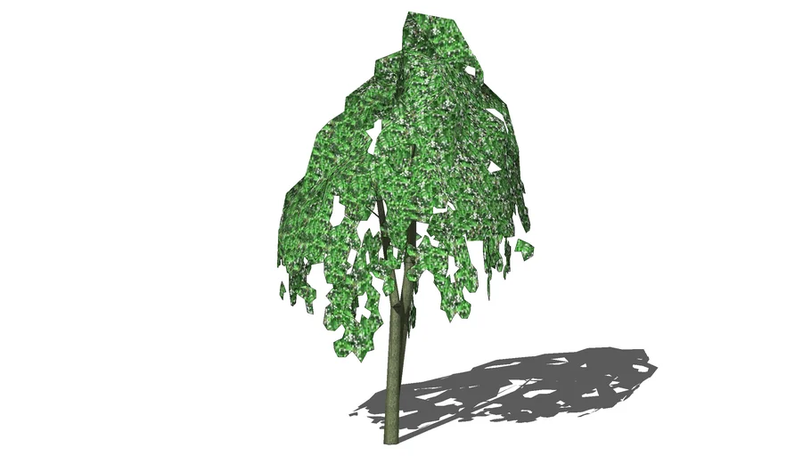 Tree - Generic - 04