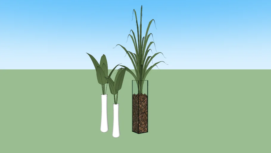 Vaso com planta