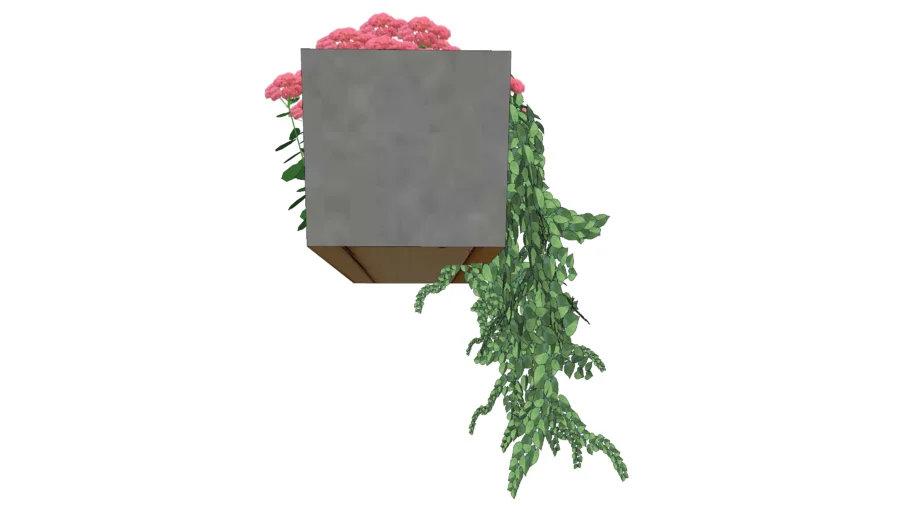 MACETA 2