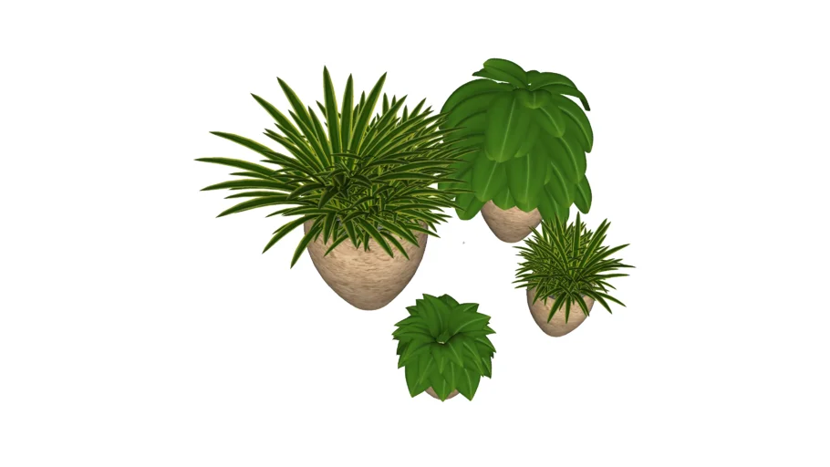 4 Flower Plants