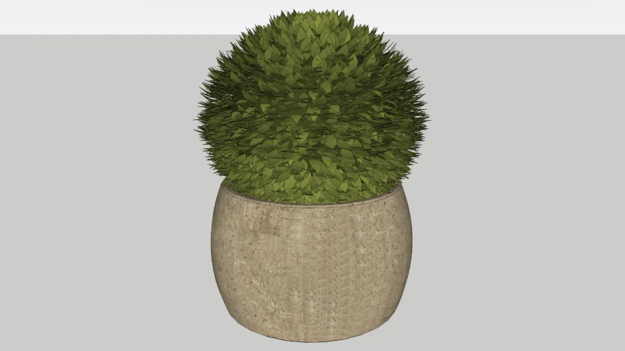 灌木叢   灌木  shrub   shrubbery