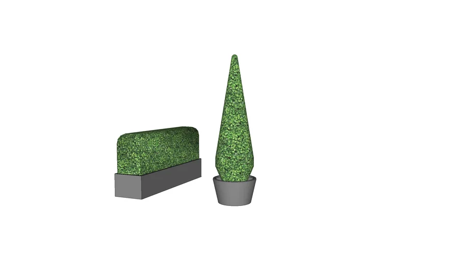 Garden bed (rectangular), cypress tree