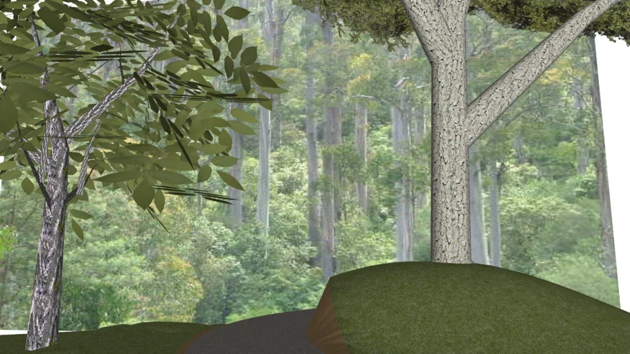 Forest Path