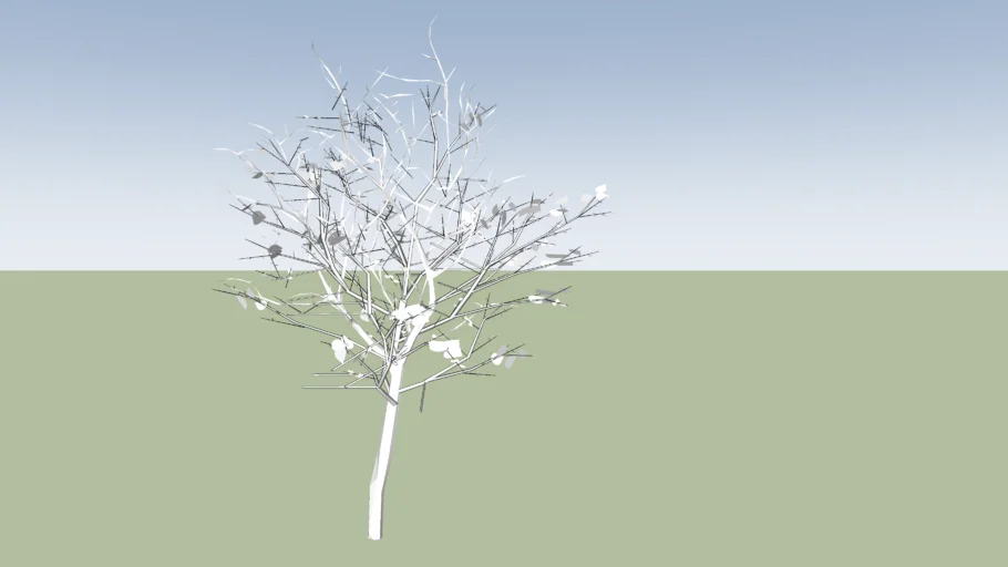 White Tree without Leaves 3