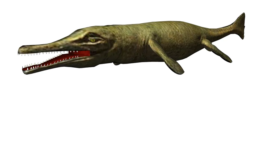 Metriorhynchus Palpebrosus