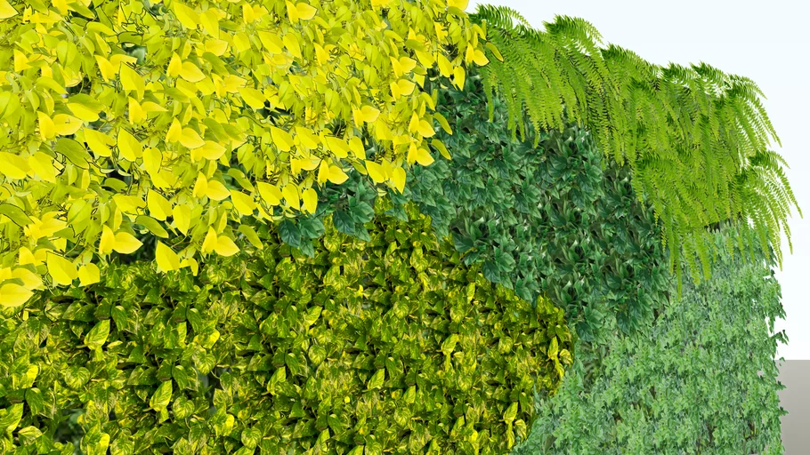 Vertical Garden
