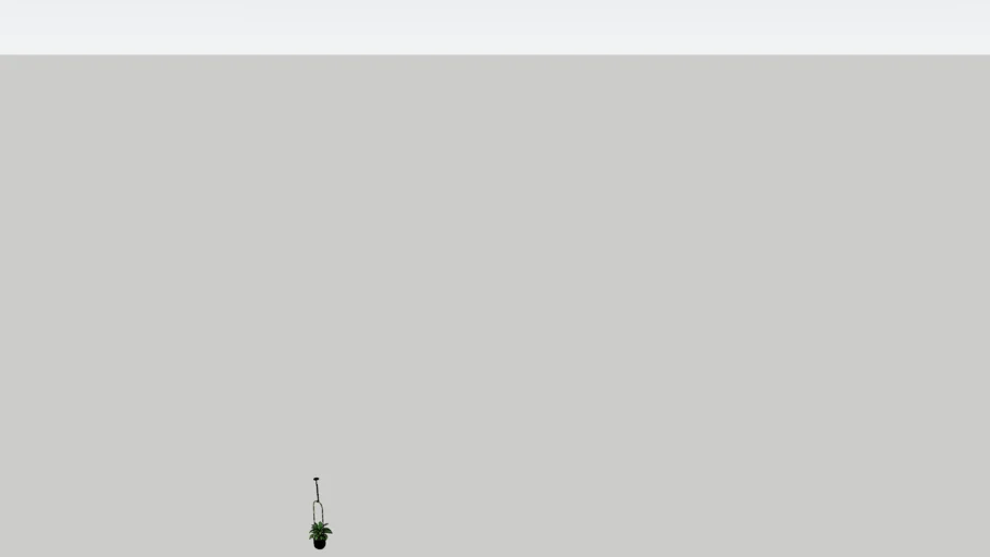 hanging plant