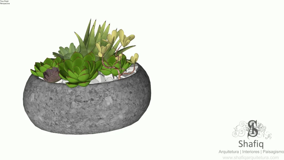 Vaso de suculentas 03