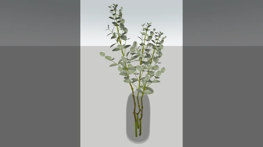 Glass Vase with Plant / Eucalyptus