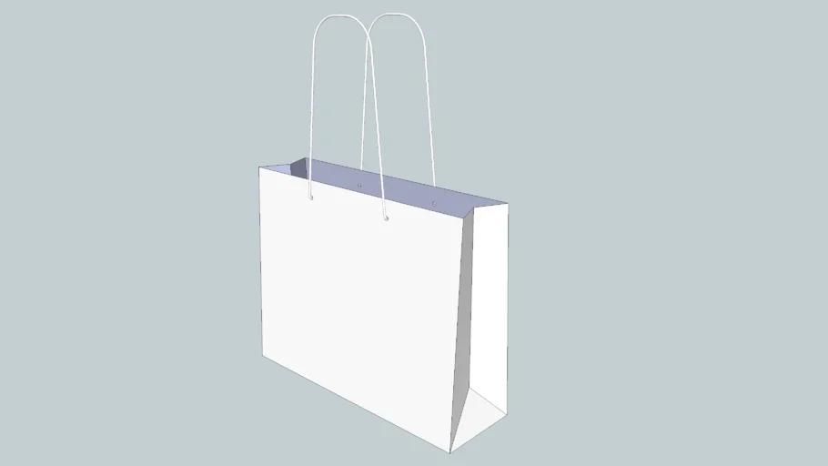 Shopping Bag