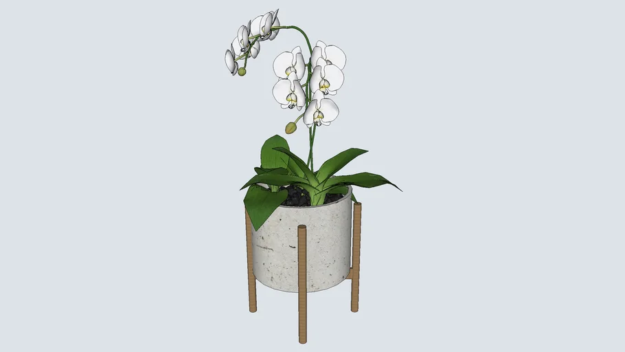 Cachepot de concreto com orquídeas
