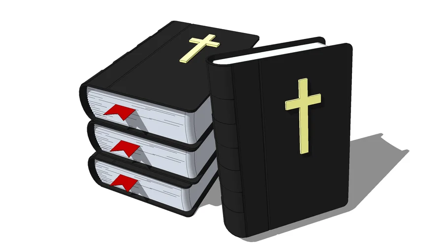 BIBLE BOOK