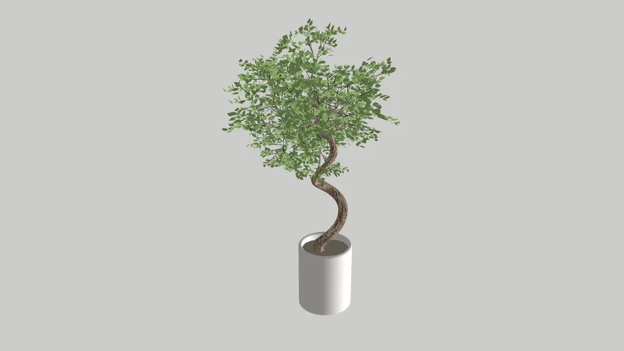 Vaso com planta 22.skp