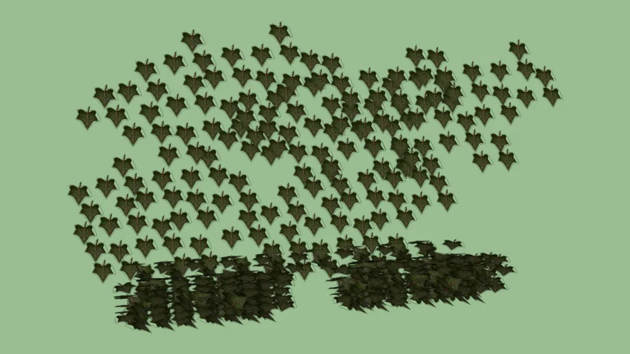 Ivy