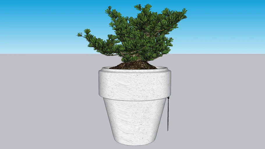 table plant 3