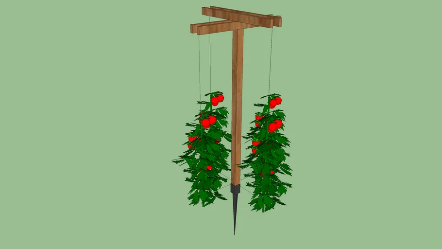 Tomato String Support | 3D Warehouse