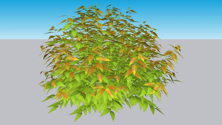Kodiak Fresh® Diervilla - Diervilla x splendens