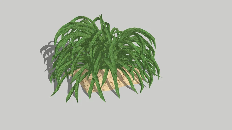 plant 3