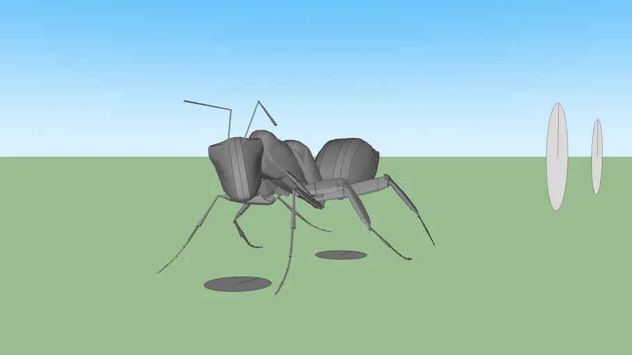 Ant | 3D Warehouse