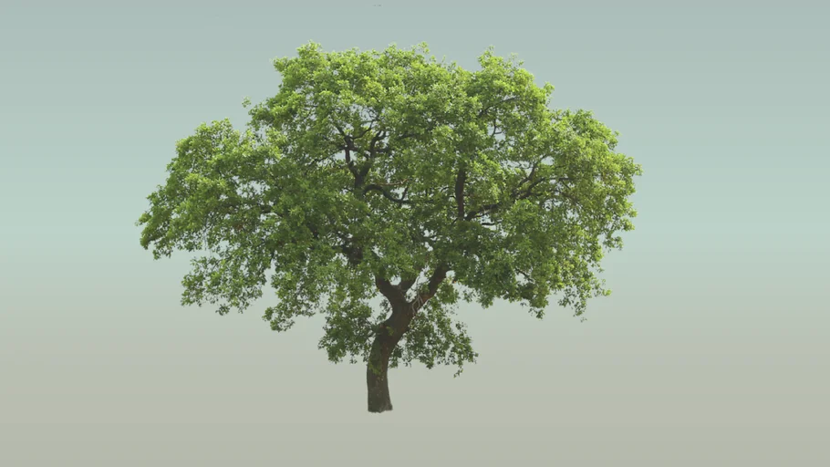 almondtree様 リクエスト 7点 まとめ商品 楽天市場】リード 犬 おしゃれ ペット 散歩 ドッグリード たすき