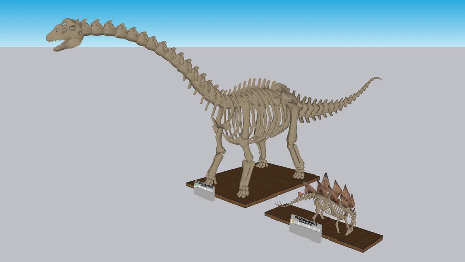 Fossil Collection - 03 - HERBIVORES