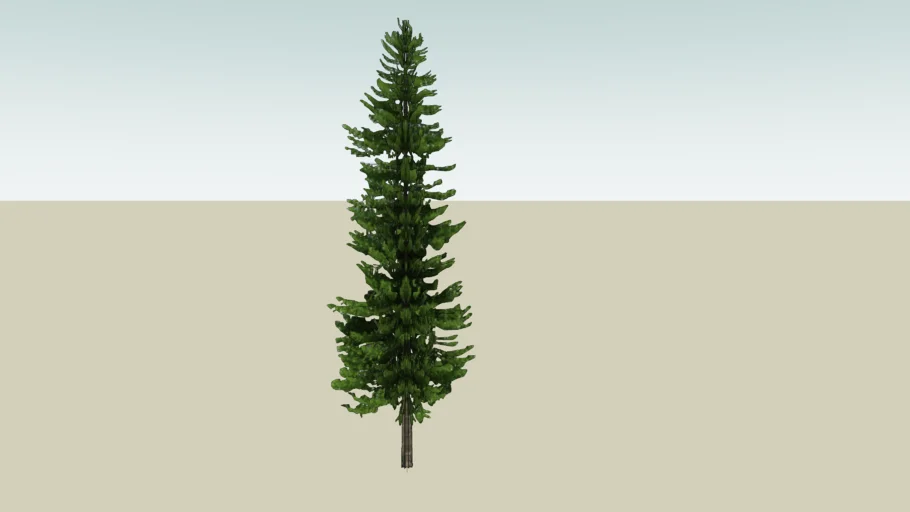 3D Pine Tree