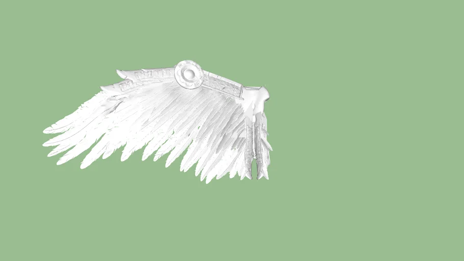 wing