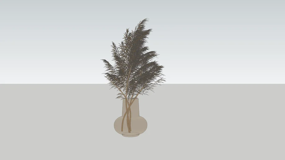 pampas gras in vaas