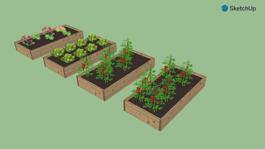 raised vegetable beds