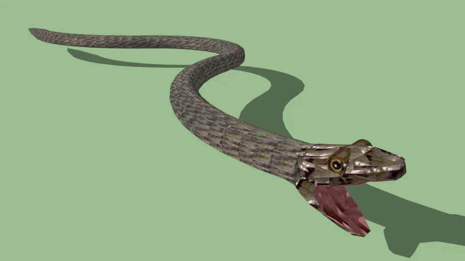 Snake