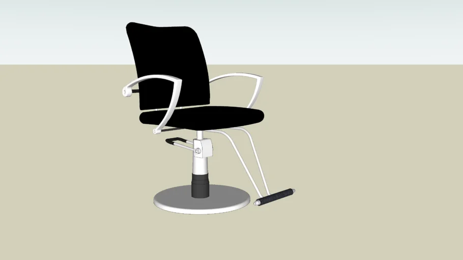 Salon Chair