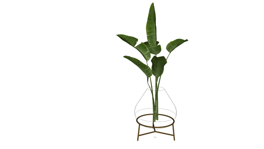Planta em jarro com água