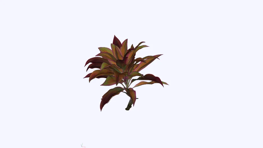 Árvore Dracena Cordyline (120cm H)