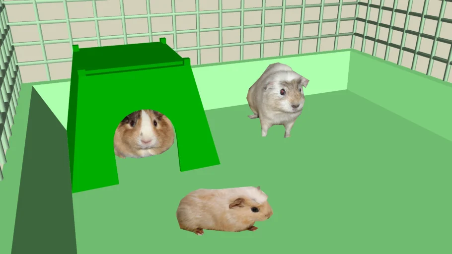 Guinea Pig Pen (Forest Color Set)