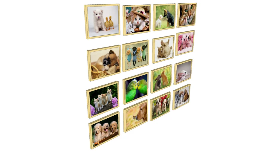 QUADRO PETS