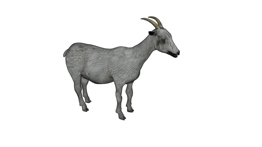 cabra