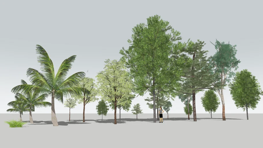 Trees