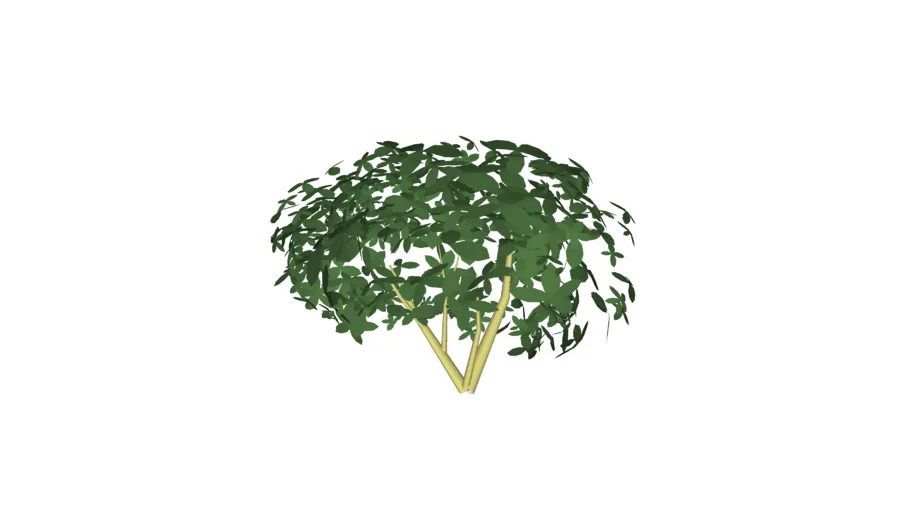 Small bush or hedge 3D