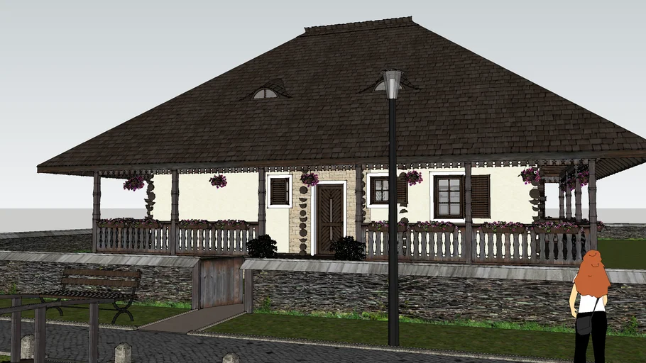 Casa INA - Romanian traditional architecture house
