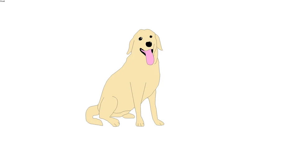 Krawan Dog Labrador Sit