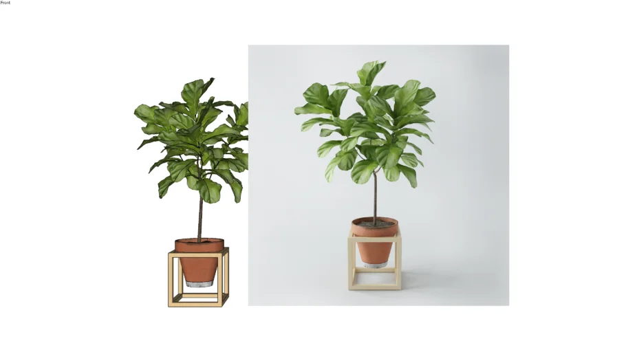 Vaso de Planta
