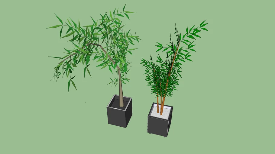 cachepot com bamboo