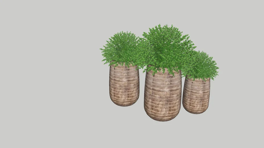 Large Plant Pots