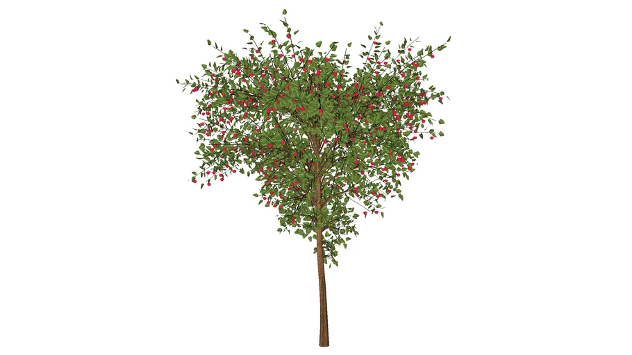 Tree A