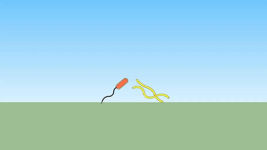 Bacterias: vibrio y espirilo