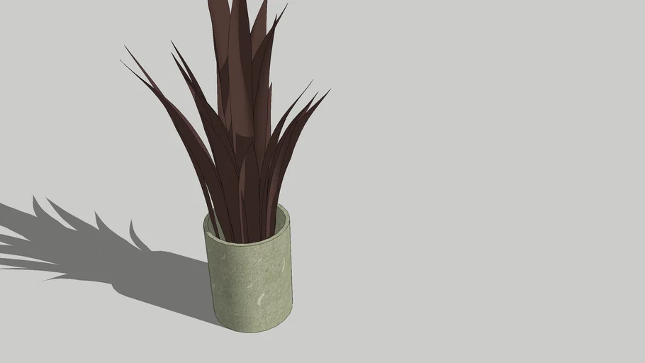 indoor plant // red plant