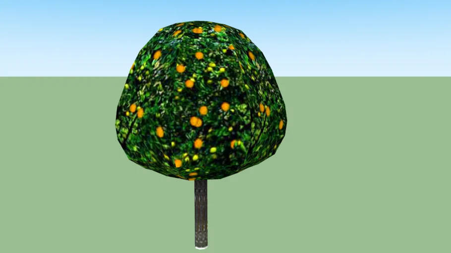 Lemon tree