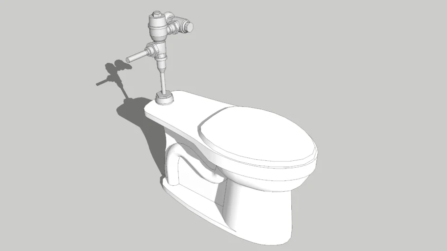water closet with flush valve