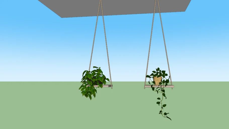Plantas pendentes.