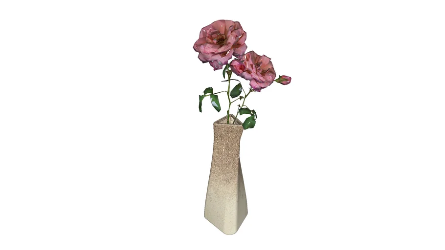 ROSE VASE
